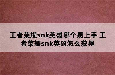 王者荣耀snk英雄哪个易上手 王者荣耀snk英雄怎么获得